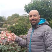 Matemáticas, contabilidad, marketing, estadística, Macro y micro economía